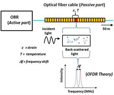 SHM of Reinforced Concrete Elements by Rayleigh Backscattering DOFS